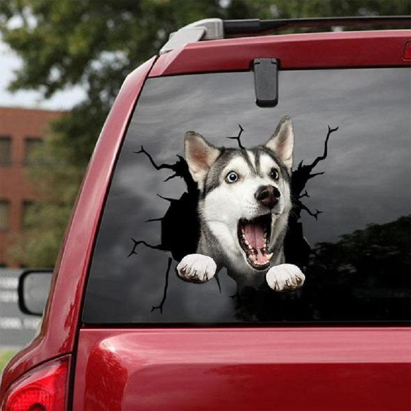 Automotive Accessories