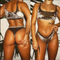 Two Piece Swimsuit Bikini Velvet Suit
