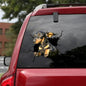 Animal Wall All Kinds Of Puppy Creative Broken Hole Car Window Electrostatic Stickers