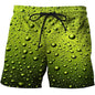 Men's Quick-Drying Beach Shorts