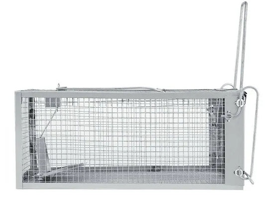 Metal trap on a white background