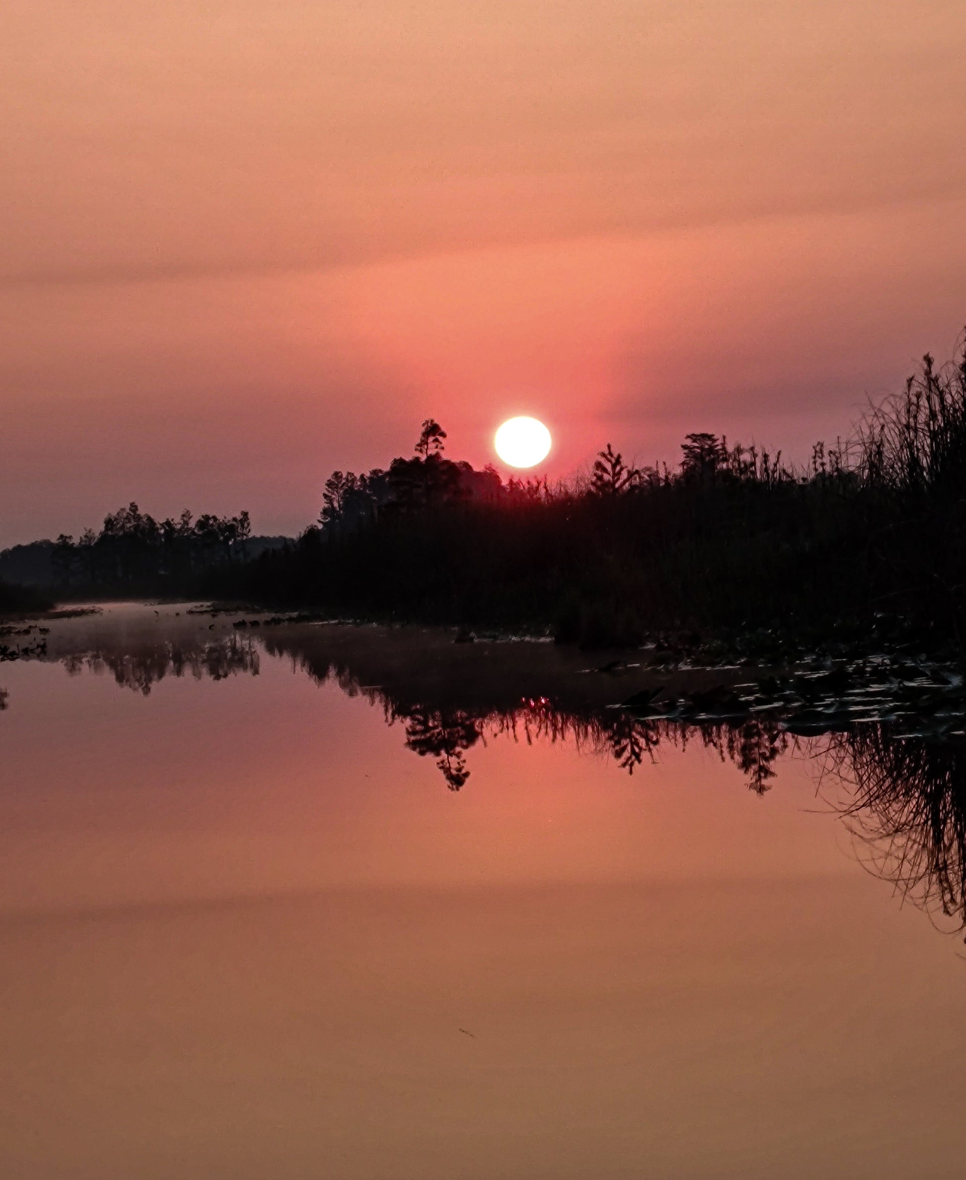 A pink sunrise on the river with a touch of fog lifting up off the water. Natural scenery. Landscape photography, rare moments and capturing the golden hour. 