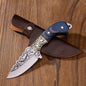 Blue Carved Fruit Knife Hunting Knife