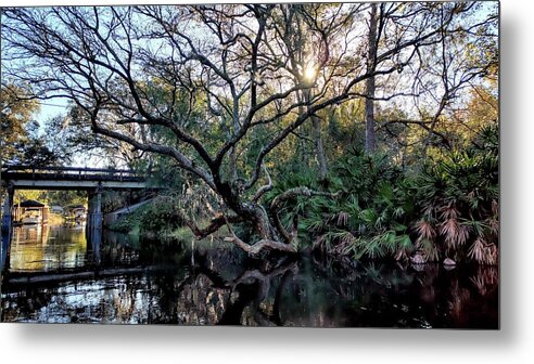 Living on the Edge  - Metal Print