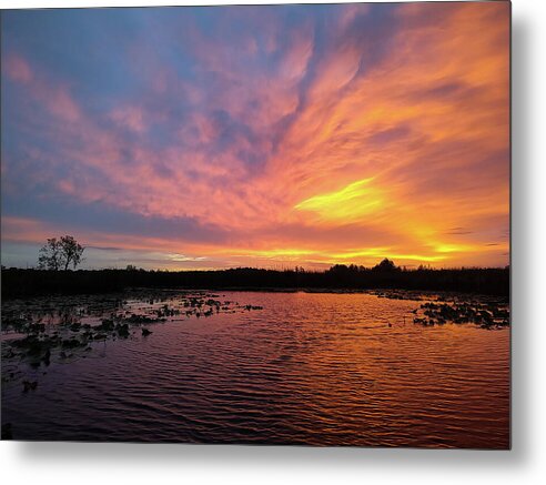 Radiant Sunrise  - Metal Print